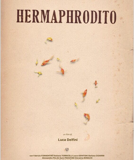 HERMAPHRODITO