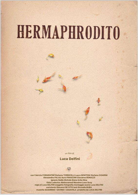 HERMAPHRODITO