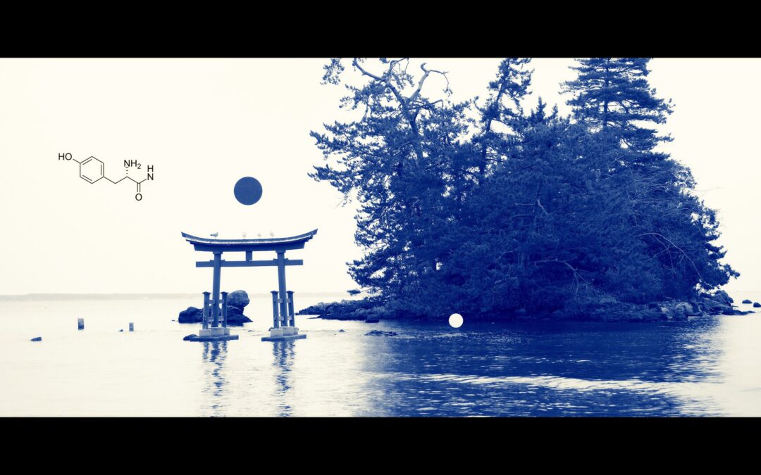 Torii