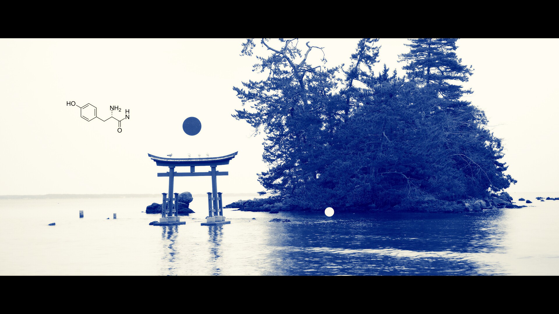 Torii