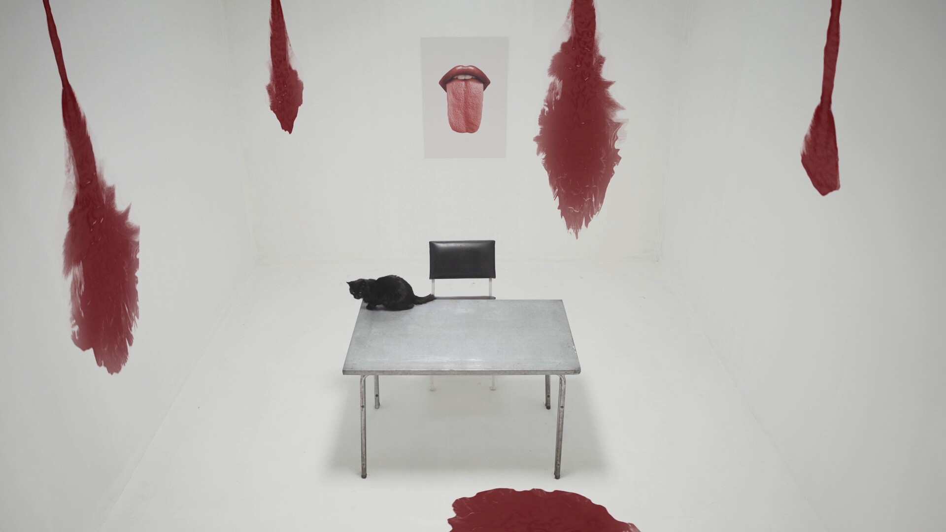Tongue